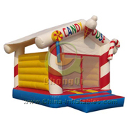 inflatable bouncer